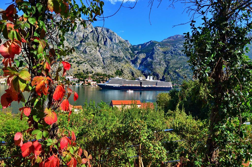 Muo Apartments Kotor Buitenkant foto